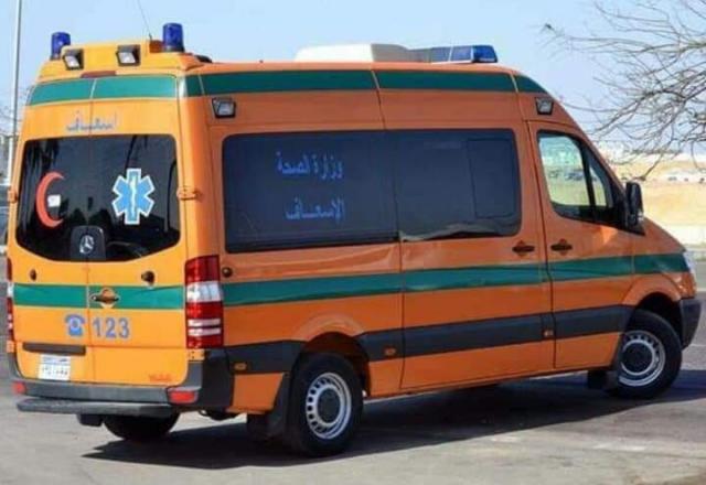 الجارديان المصرية