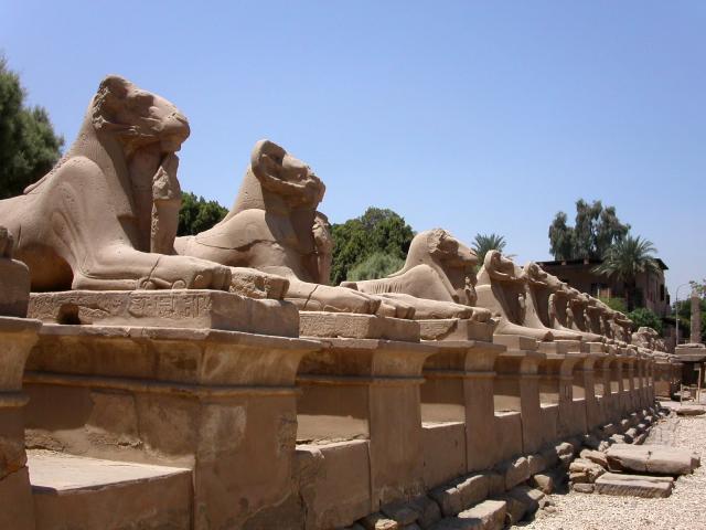 الجارديان المصرية