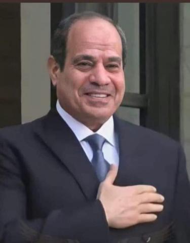 الرئيس السيسى