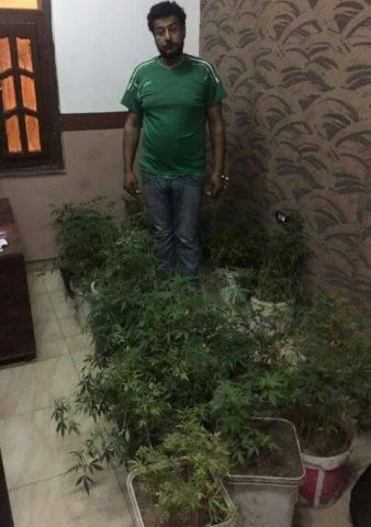 الجارديان المصرية