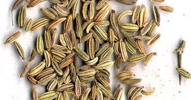 الجارديان المصرية