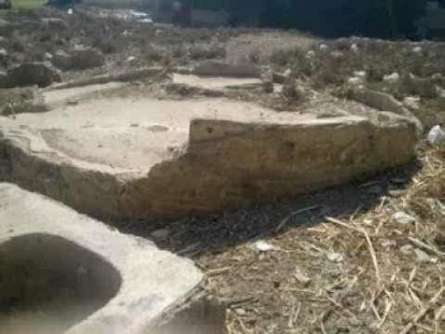 الجارديان المصرية