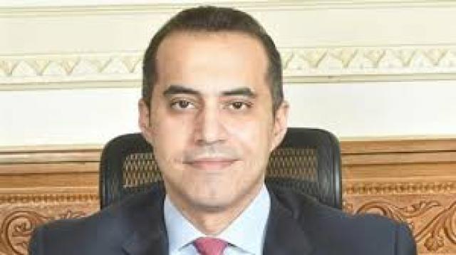 المستشار محمود فوزى