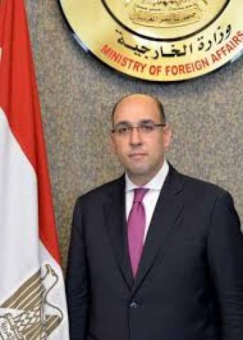 السفير احمد حافظ