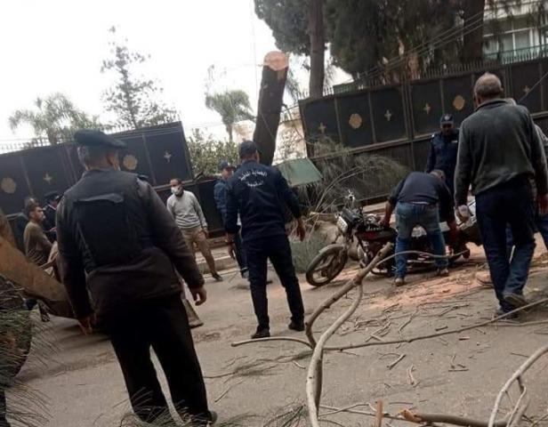 الجارديان المصرية