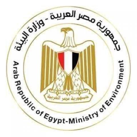 الجارديان المصرية