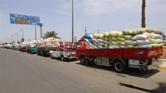 الجارديان المصرية