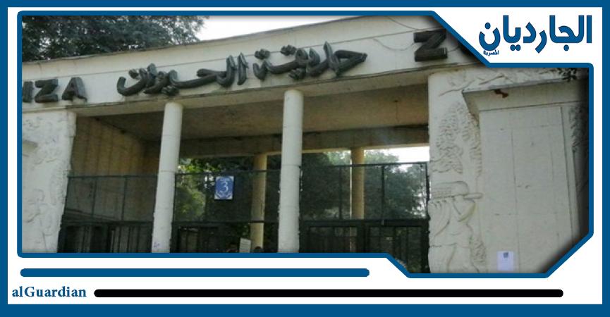 «الزراعة» تؤكد استمرار غلق حدائق الحيوان والأورمان ...