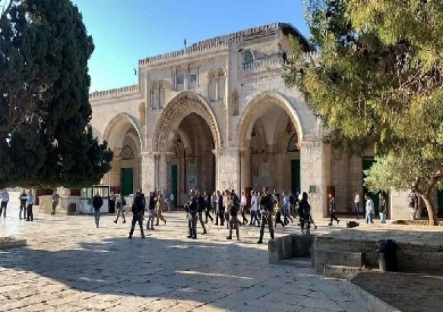اقتحام الاقصى مجددا