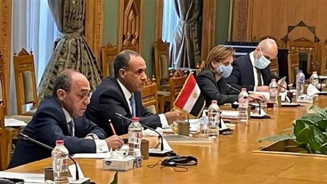 جلسة مناقشات سياسية بين مصر والتشيك