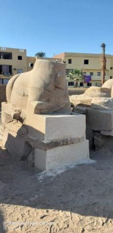 ترميم رؤوس الكباش