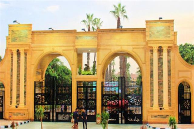 جامعة المنصورة