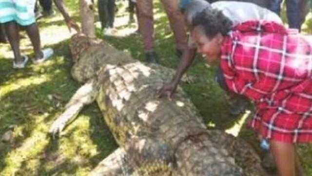 تمساح متوحش يقتل طفلا ببشاعة والأهالي يثأرون في كينيا