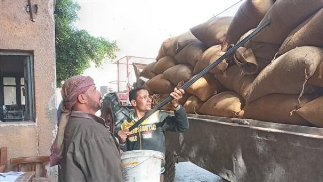 الجارديان المصرية