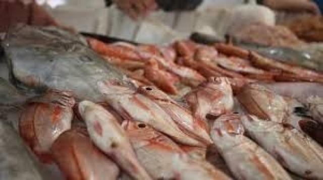 أسعار السمك اليوم الاثنين 16-5-2022