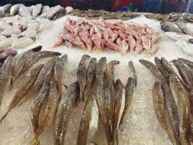 أسعار الأسماك اليوم الخميس 19 مايو 2022