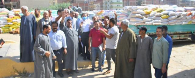 الجارديان المصرية
