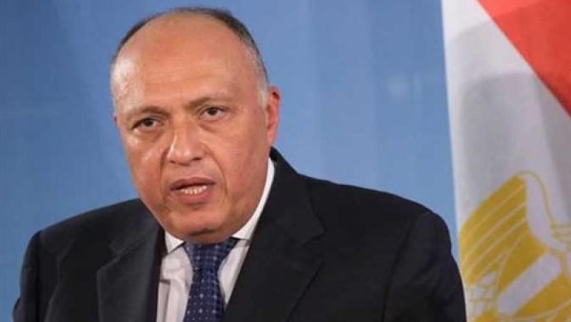 سامح شكرى