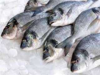أسعار السمك اليوم الخميس 8 - 12 - 2022