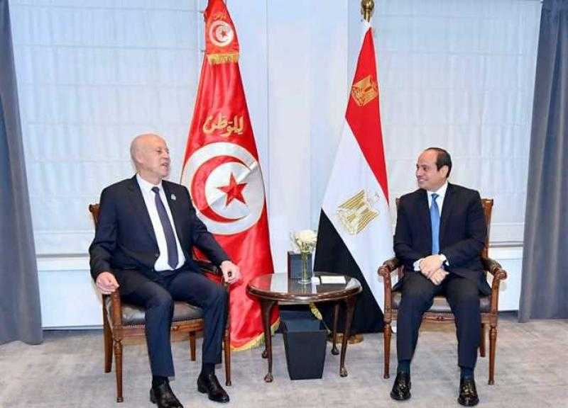 تفاصيل اجتماع الرئيس السيسى اليوم مع الرئيس التونسى