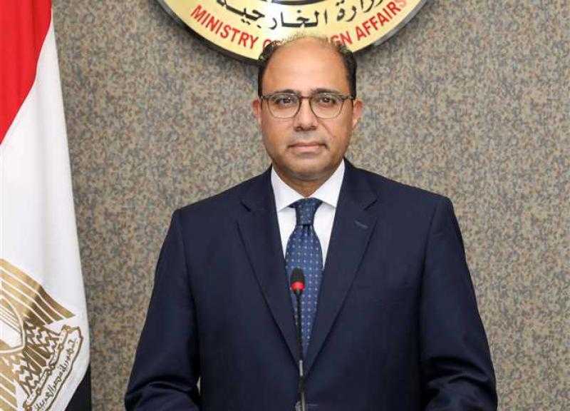 الخارجية ترد بقوة على تصريحات نصر الله حول مصر