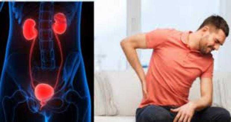 فوائد التفاح و الكرنب والفلفل الأحمر والقرنبيط والثوم والبصل للكليتين