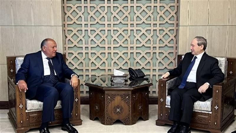 سامح شكرى والرئيس بشار الأسد