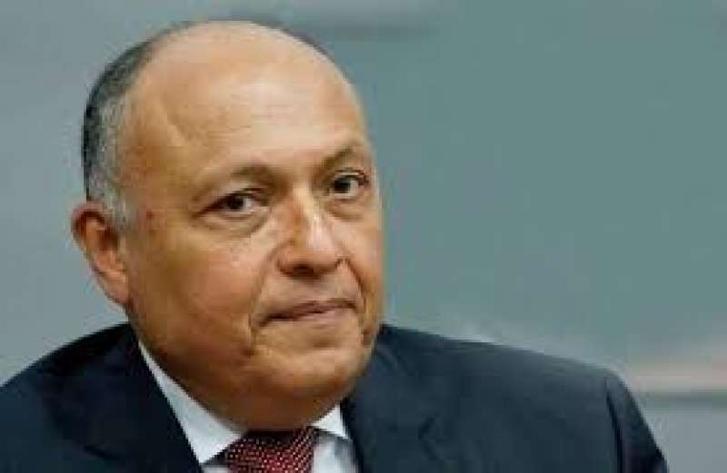 وزير الخارجية سامح شكري