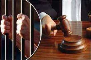 تأجيل محاكمة 11 متهما في خلية الشروق الثانية لجلسة 17 يونيو