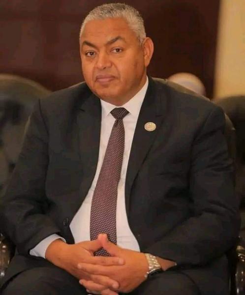 د. محمود بكرى