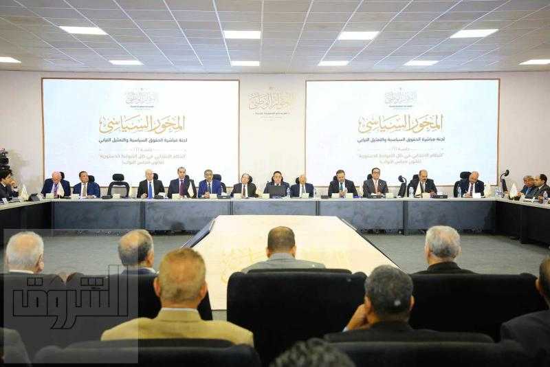 سر انفعال ضياء رشوان خلال جلسة الحوار الوطنى اليوم