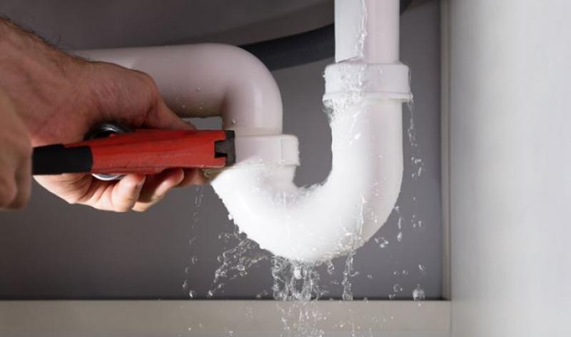 الجارديان المصرية