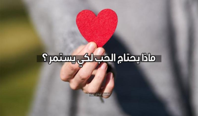 الجارديان المصرية