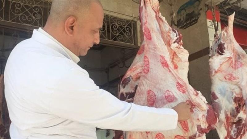 الجارديان المصرية