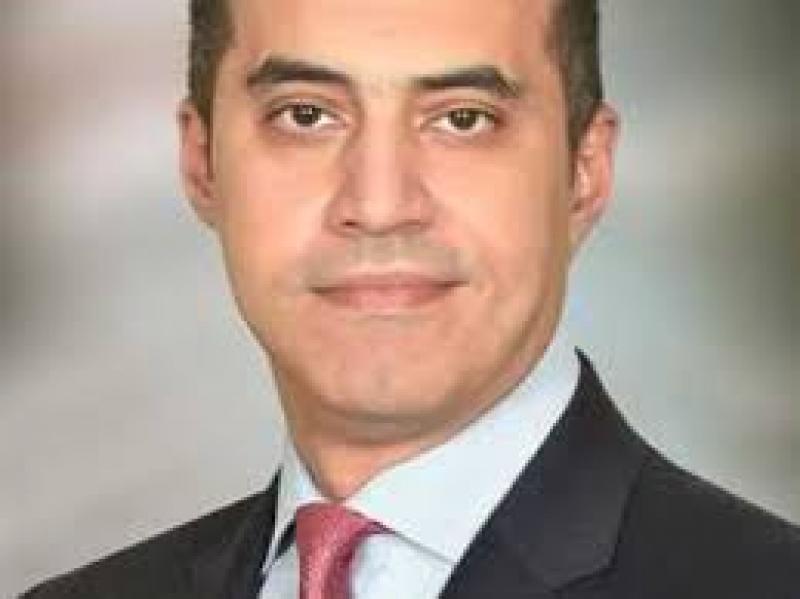 المستشار محمود فوزي