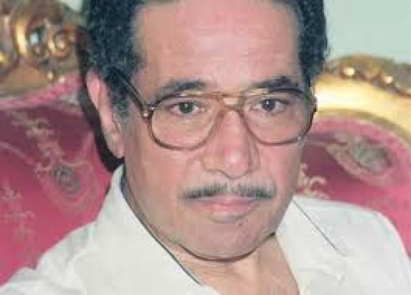 محمد الموجى