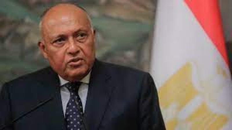 سامح شكرى وزير الخارجية
