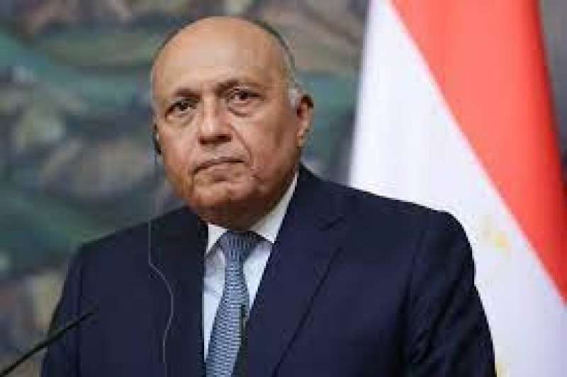 سامح شكرى وزير الخارجية 