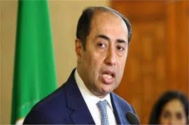 السفير حسام زكي الأمين العام المساعد لجامعة الدول العربية