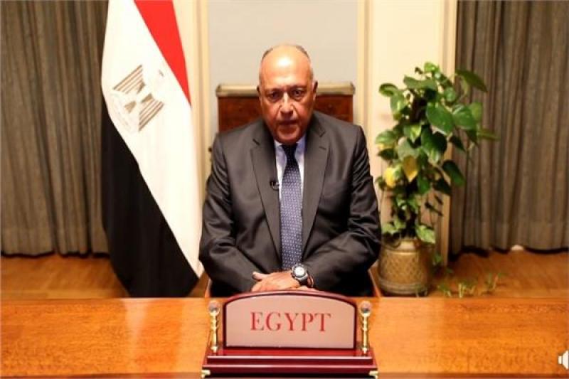 سامح شكرى وزير الخارجية 