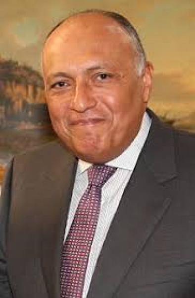 سامح شكرى