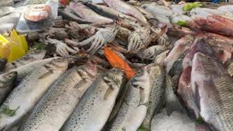 أسعار الأسماك في سوق العبور،