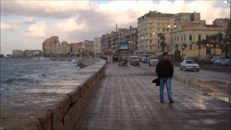 تعطيل الدراسة بالاسكندرية