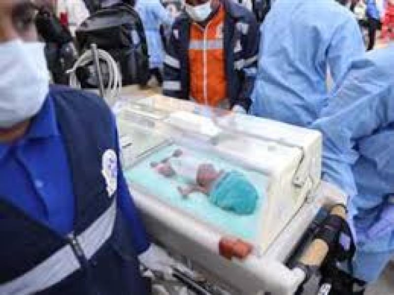 لحظة استقبال أطفال غزة من المبتسرين