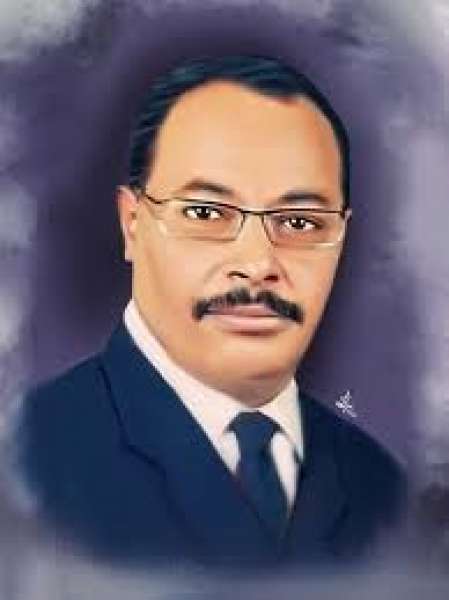 الكاتب الكبير رضا طلعت فهيم