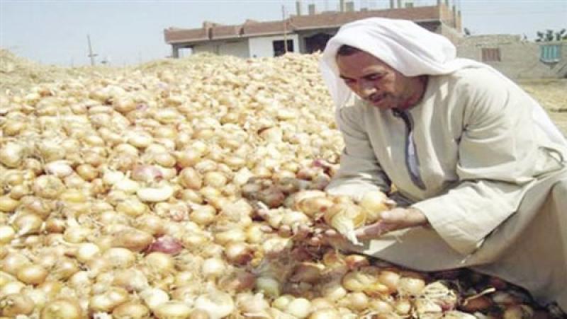 الجارديان المصرية