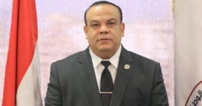 المستشار حازم بدوي
