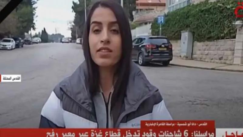 دانا أبو شمسية