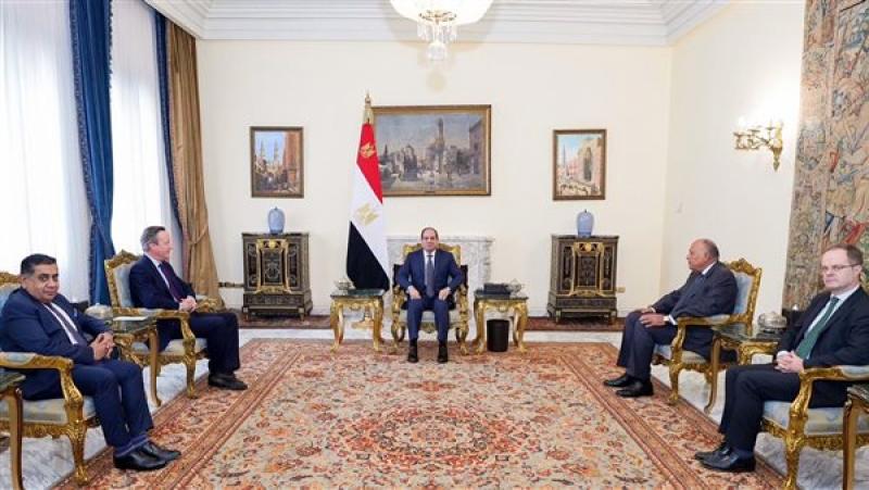 الرئيس عبد الفتاح السيسي