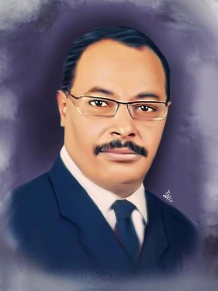الكاتب رضا طلعت فهيم